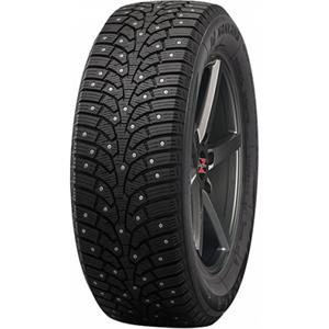 255/40R19 NANKANG SW-9 100TXL ar radzēm
